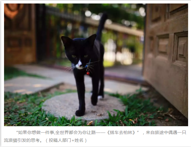 宝马bm1122线路顶级(中国游)有限公司官网